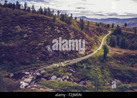 Chemin dans les montagnes Banque D'Images