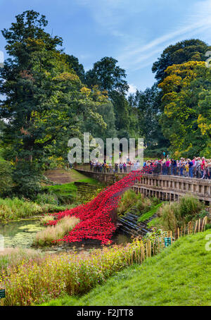 Coquelicots : 'Wave', à partir de l'installation 'Blood a balayé les terres et les mers de Red' , Yorkshire Sculpture Park, Wakefield, Yorkshire, UK Banque D'Images