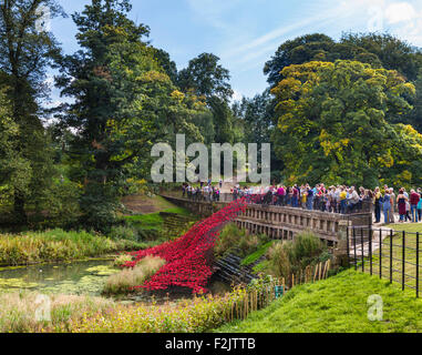 Coquelicots : 'Wave', à partir de l'installation 'Blood a balayé les terres et les mers de Red' , Yorkshire Sculpture Park, Wakefield, Yorkshire, UK Banque D'Images