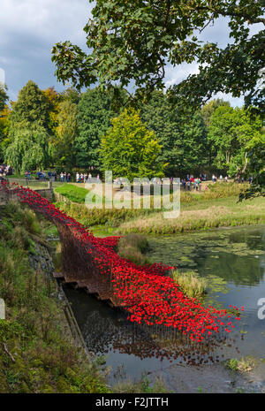 Coquelicots : 'Wave', à partir de l'installation 'Blood a balayé les terres et les mers de Red' , Yorkshire Sculpture Park, Wakefield, Yorkshire, UK Banque D'Images