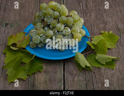 Les raisins de la vie encore sur une plaque bleue et branches de feuilles Banque D'Images