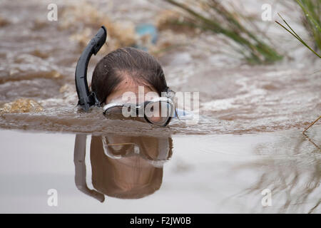 Le monde Bog Snorkelling Championships tenue à Waen Rhydd Bog le 30 août 2015 à Llanwrtyd Wells, Mid Wales. Banque D'Images