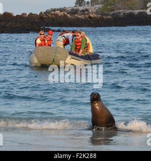 Un lion de mer accueille un groupe de touristes sur les rives d'Espanola îles dans les îles Galapagos Banque D'Images