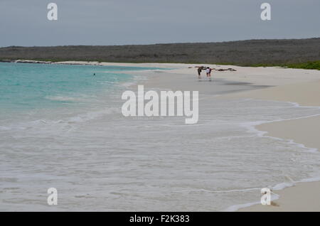 Gardner Bay, l'île d'Espanola, Galapagos. Banque D'Images