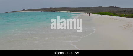 Gardner Bay, l'île d'Espanola, Galapagos. Banque D'Images