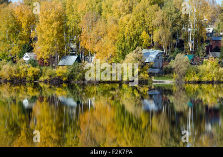 Forest lake à sunny day aurumn en Sibérie Banque D'Images