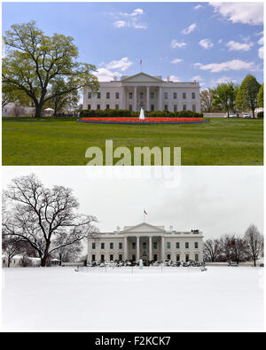 (150921) -- WASHINGTON, D.C., 21 septembre 2015 (Xinhua) -- l'ensemble des photos montrent l'avis de la Maison Blanche à Washington D.C., capitale des États-Unis le 23 avril (en haut) et le 17 mars 2014. Nommé en l'honneur du premier président américain George Washington, Washington D.C. ou Washington District de Columbia est la capitale des États-Unis, est située entre les États du Maryland et de la Virginie. La Constitution des États-Unis prévoit un district fédéral de la compétence exclusive du Congrès et le District n'est donc pas une partie de n'importe quel État américain. Washington a environ Banque D'Images