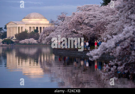 (150921) -- WASHINGTON, D.C., 21 septembre 2015 (Xinhua) -- File photo prise le 10 avril 2015 montre les touristes regarder les cerisiers en fleurs à Washington, DC, la capitale des États-Unis. Nommé en l'honneur du premier président américain George Washington, Washington, DC ou Washington District de Columbia est la capitale des États-Unis, est située entre les États du Maryland et de la Virginie. La Constitution des États-Unis prévoit un district fédéral de la compétence exclusive du Congrès et le District n'est donc pas une partie de n'importe quel État américain. Washington, DC a une population estimée à 660 000. Banque D'Images