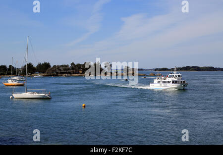 Vue de l'Ile de Boedic de Port Anna avec ferry, Sene, Vannes, Morbihan, Bretagne, France Banque D'Images