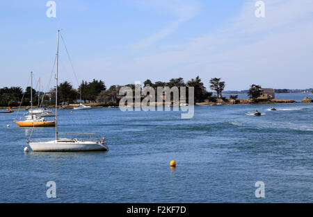 Vue de l'Ile de Boedic de Port Anna, Sene, Vannes, Morbihan, Bretagne, France Banque D'Images