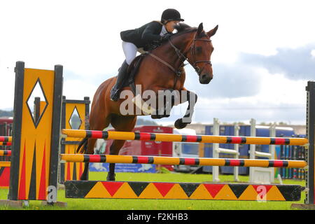 Saut à cheval au Henley Show, Henley-on-Thames, Royaume-Uni, 12/9/2015 Banque D'Images