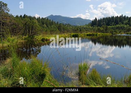 Lac profond, réserve naturelle Gschwender Fliz devant Hörnle, Saulgrub en Haute-bavière, Bavière, Allemagne Banque D'Images