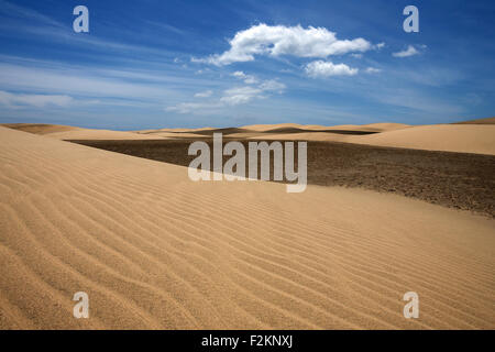 Des dunes, des dunes de sable de Maspalomas, la formation des nuages, des structures dans le sable, réserve naturelle, Gran Canaria, Îles Canaries, Espagne Banque D'Images
