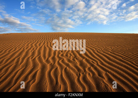 Des dunes, des dunes de sable de Maspalomas, la formation des nuages, des structures dans le sable, lumière du soir, réserve naturelle, Gran Canaria Banque D'Images