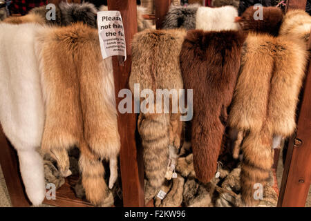 Fourrures animales à vendre à Num-Ti-Jah lodge & trading post, dans le parc national Banff, Rocheuses, en Alberta, au Canada, en Amérique du Nord. Banque D'Images
