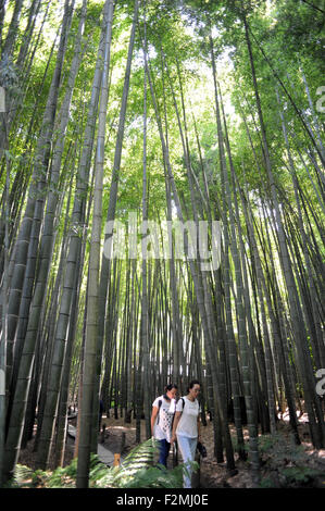 Hōkoku-ji, un temple Zen de la secte Rinzai, à Kamakura, préfecture de Kanagawa au Japon. Banque D'Images