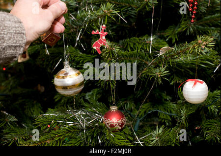 Close up image montrant un mans part accroché une boule d'or et d'argent à un arbre de Noël traditionnel Banque D'Images