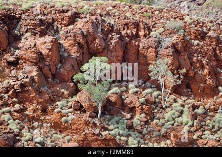 Le minerai de fer Rocks - Australian Outback Banque D'Images