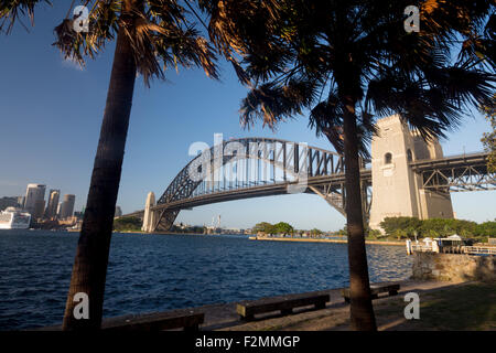 Sydney Harbour Bridge à l'aube avec début de lumière entre palmiers Sydney NSW Australie Nouvelle Galles du Sud Banque D'Images