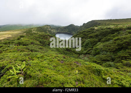 Lagoa Funda das Lajes, l'île de Flores, Açores Banque D'Images