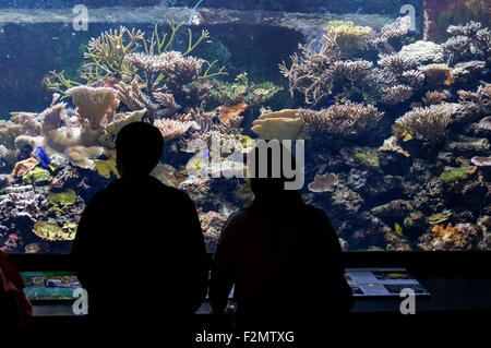 Visiteurs à la ZSL London Zoo Aquarium, Londres Angleterre Royaume-Uni UK Banque D'Images