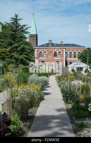 Le Jardin botanique de l'Université de Copenhague, Danemark Copenhague Banque D'Images