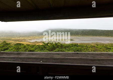 Misty Caldeira Branca masquer de l'observation des oiseaux, l'île de Flores, Açores Banque D'Images