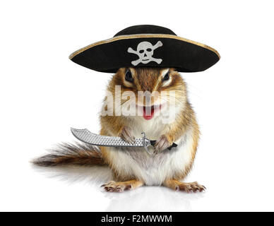 Animal drôle, écureuil pirate avec chapeau et sabre on white Banque D'Images