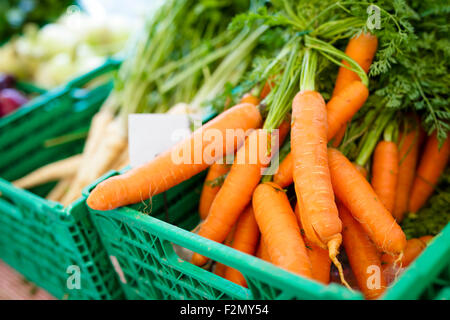 Carottes biologiques sains au farmers market Banque D'Images