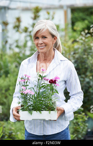 Le choix des plantes à maturité Femme Garden Centre Banque D'Images