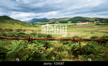 Paysage pittoresque du paysage rural avec des barbelés rouillés en premier plan Banque D'Images