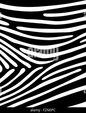 Motif en noir et blanc peau de zèbre, vector Banque D'Images