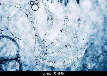 Bulles Spheric tourbillonné gros plan extrême. Banque D'Images