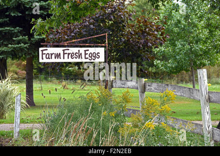 Oeufs frais de la ferme signe sur rusty poster avec clôture en bois patiné. Banque D'Images