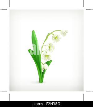 Le muguet, vector Illustration de Vecteur