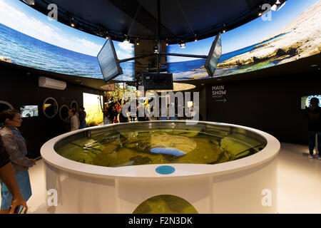 Milan, Italie, 13 Septembre 2015 : Détail de l'intérieur du pavillon du Kazakhstan lors de l'exposition Expo 2015 de l'Italie. Banque D'Images