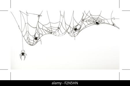 Des araignées et d'araignée, vector set Illustration de Vecteur