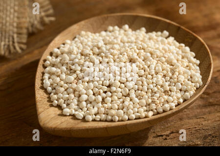 Le quinoa blanc sauté (lat. Chenopodium quinoa) sur les petites céréales plaque de bois, photographié sur bois avec lumière naturelle Banque D'Images