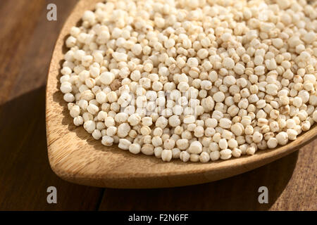 Le quinoa blanc sauté (lat. Chenopodium quinoa) sur les petites céréales plaque de bois, photographié sur bois avec lumière naturelle Banque D'Images