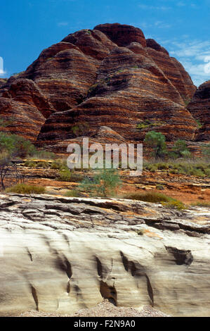 Dans LA GORGE DE PICANNINY PARC NATIONAL DE PURNULULU, KIMBERLEYS, AUSTRALIE OCCIDENTALE Banque D'Images