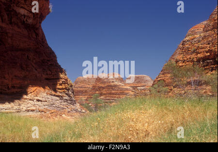 Dans LA GORGE DE PICANNINY PARC NATIONAL DE PURNULULU, KIMBERLEYS, AUSTRALIE OCCIDENTALE Banque D'Images