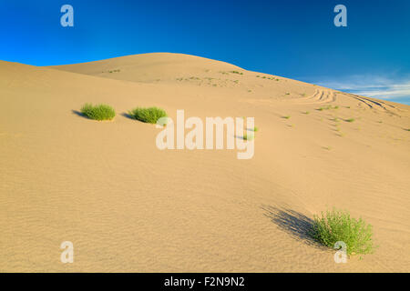 Les pistes de VTT dans les dunes de sable Banque D'Images