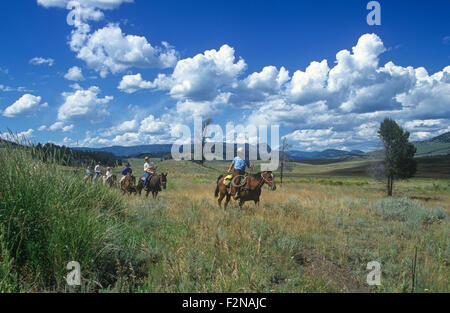 Les cavaliers à Tower Junction, le Parc National de Yellowstone, Wyoming, USA. Banque D'Images