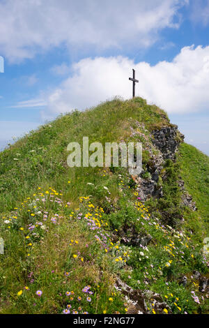 Sommet cross et fleurs de montagne sur Hochgern, Inzell, Alpes de Chiemgau, Upper Bavaria, Bavaria, Germany Banque D'Images