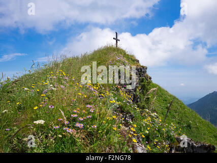 Sommet cross et fleurs de montagne sur Hochgern, Inzell, Alpes de Chiemgau, Upper Bavaria, Bavaria, Germany Banque D'Images