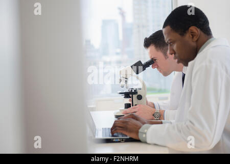 Les scientifiques à l'aide d'ordinateur portable et microscope in lab Banque D'Images