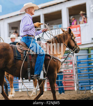 Portrait cheval cowboy rodeo dans Banque D'Images