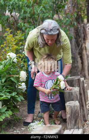 Caucasian woman and grandson Picking Flowers in garden Banque D'Images