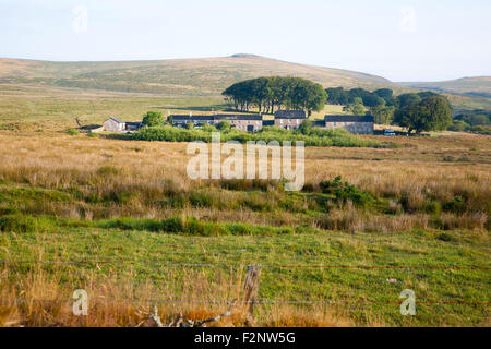 Anciens mineurs sur les rangs des maisons mitoyennes sur la lande, Dartmoor National Park, près de Postbridge, Devon, England, UK Banque D'Images