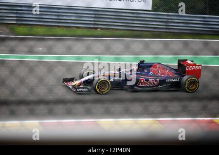 Formule 1 2015 Grand Prix de Belgique de Shell, Spa. Banque D'Images